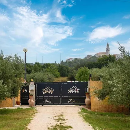 Fortuna Visnjan Будинок відпочинку