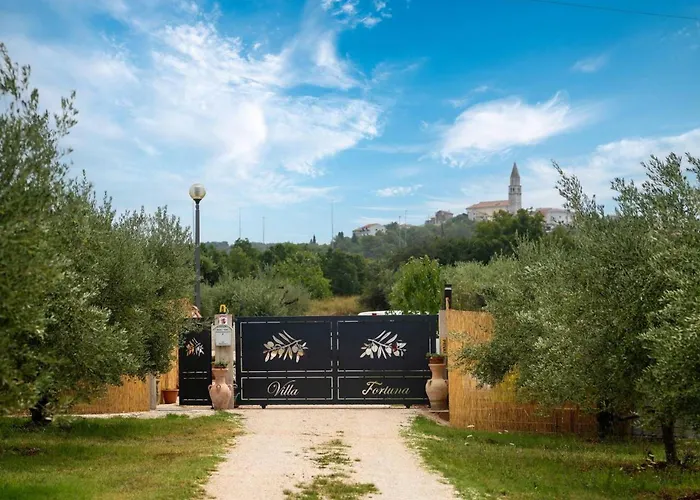 Fortuna Visnjan בית נופש